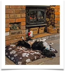 relaxing in front of the fire - Richard Nicholls